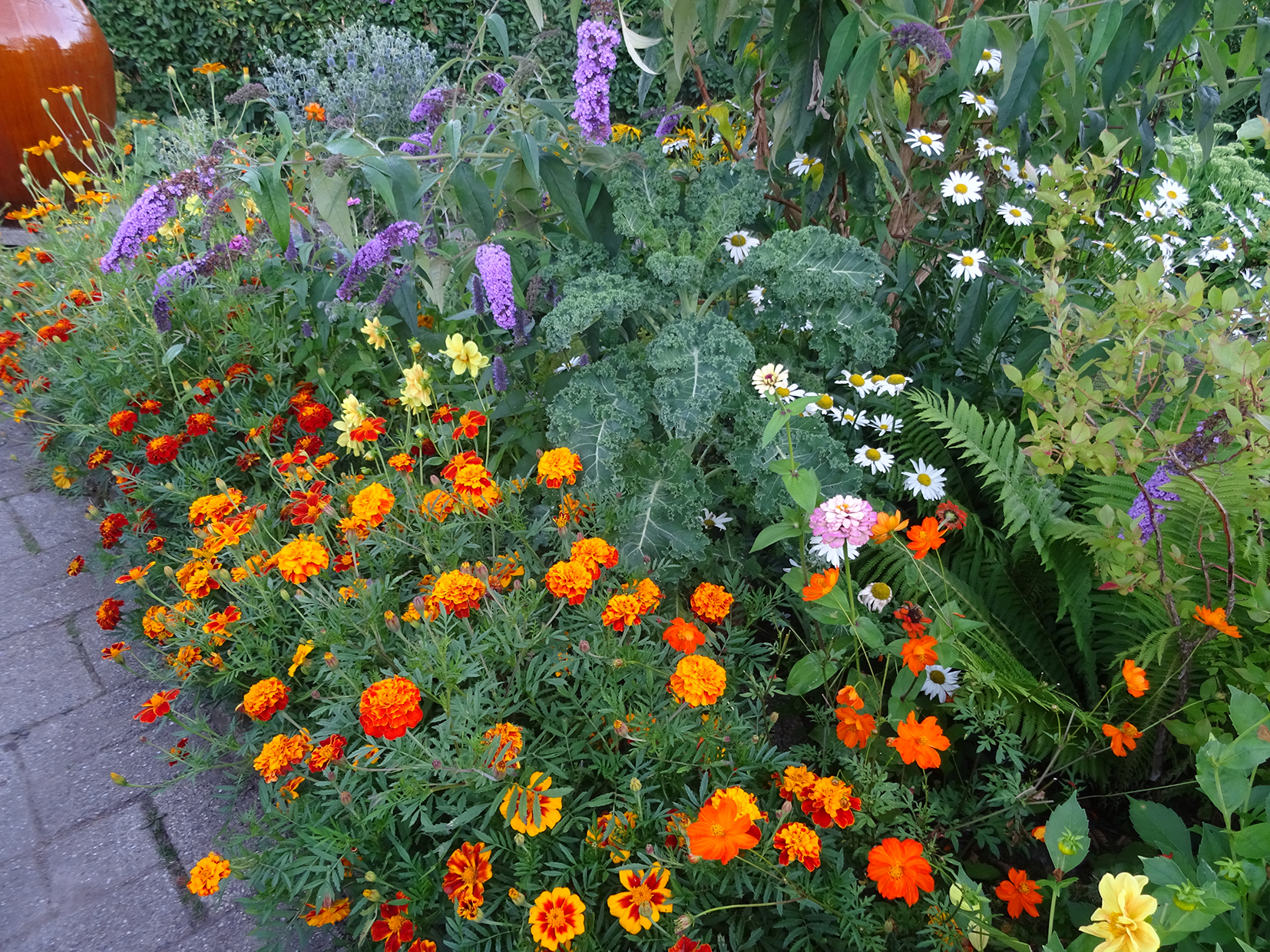 Kursus5kaaltagetes