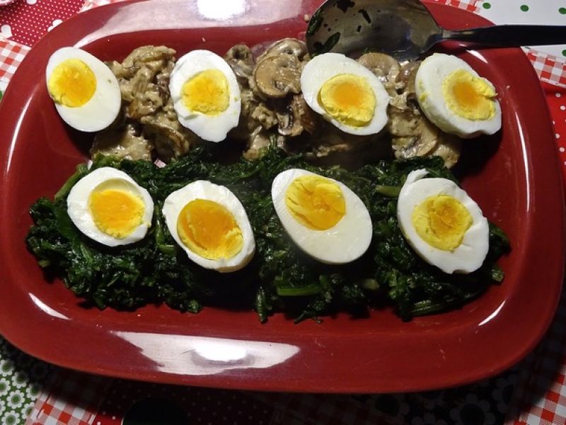 Æg Florentine